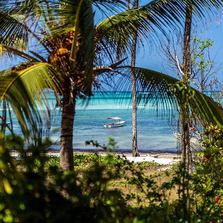 Shanuo Beach Bungalows Michamvi Dış mekan fotoğraf