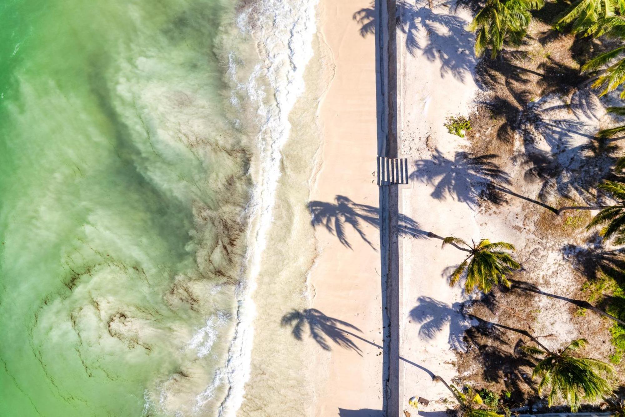 Shanuo Beach Bungalows Michamvi Dış mekan fotoğraf