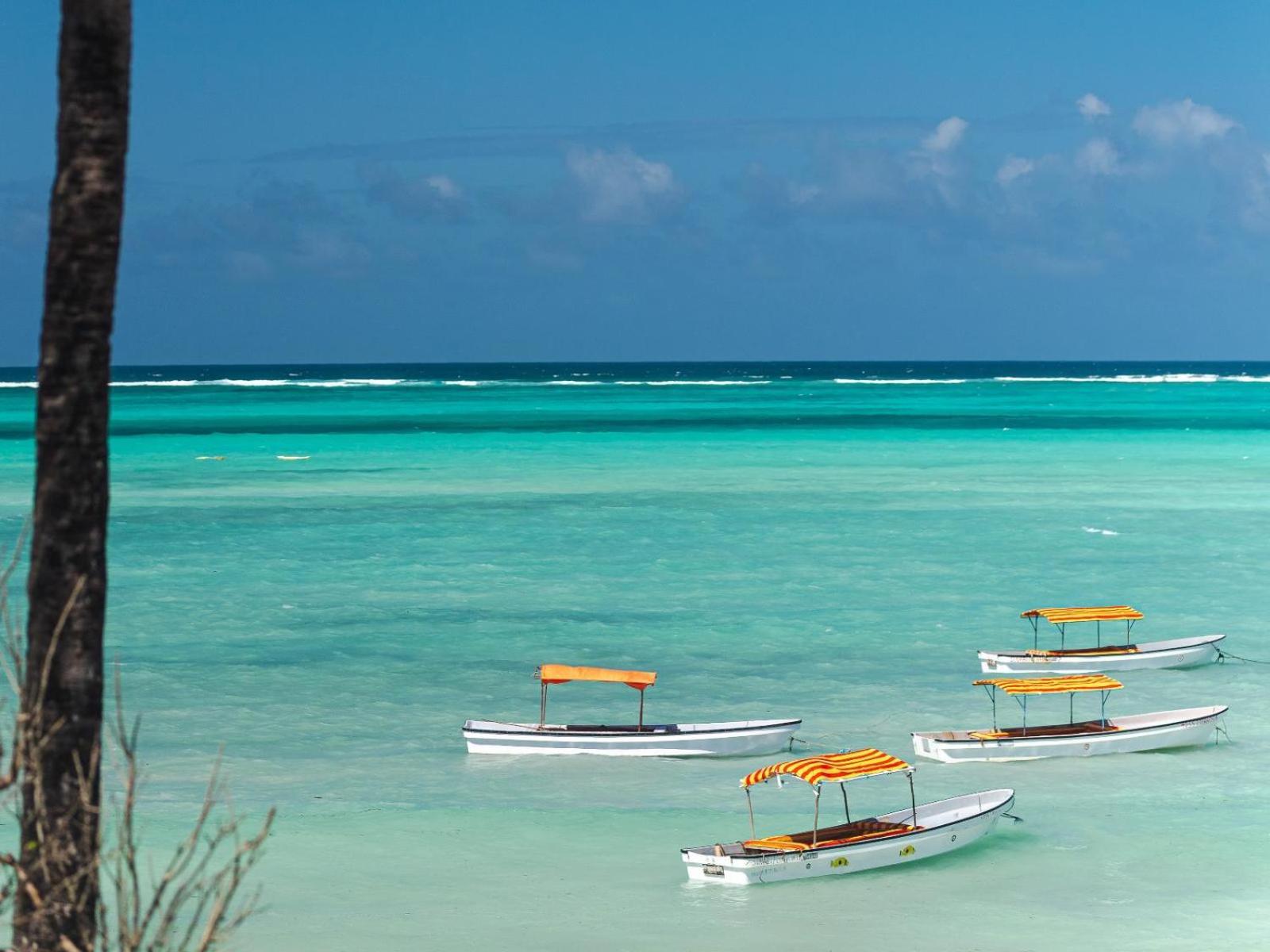 Shanuo Beach Bungalows Michamvi Dış mekan fotoğraf