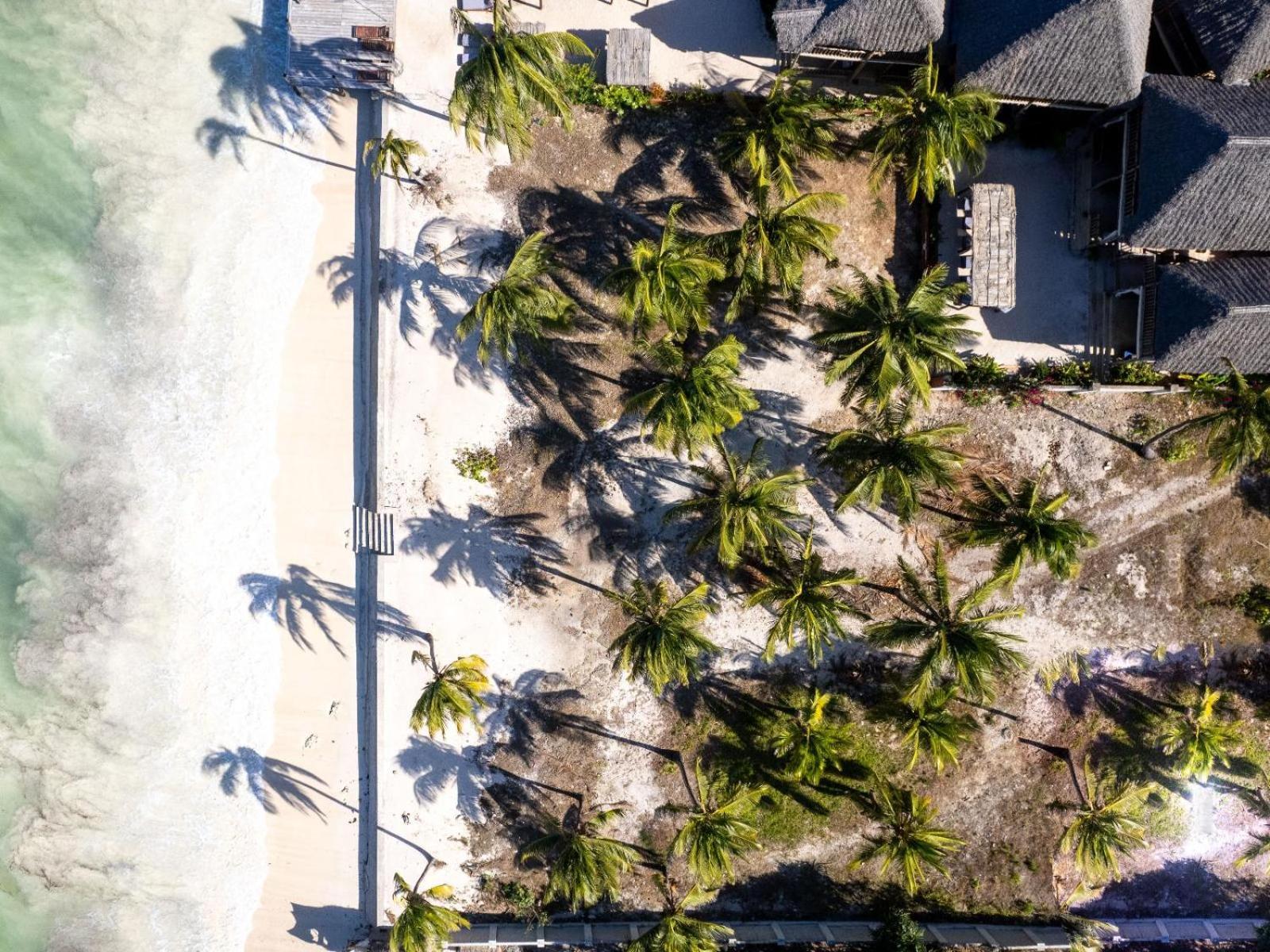 Shanuo Beach Bungalows Michamvi Dış mekan fotoğraf