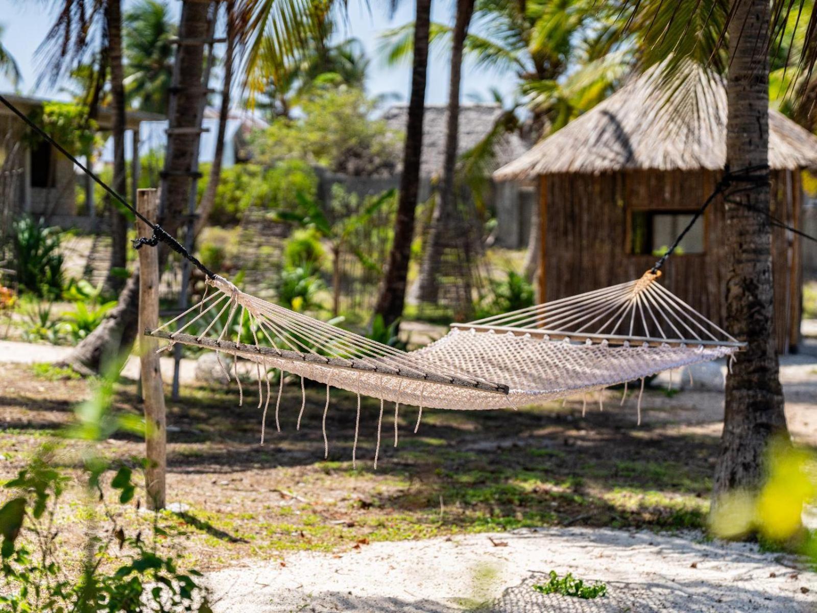 Shanuo Beach Bungalows Michamvi Dış mekan fotoğraf