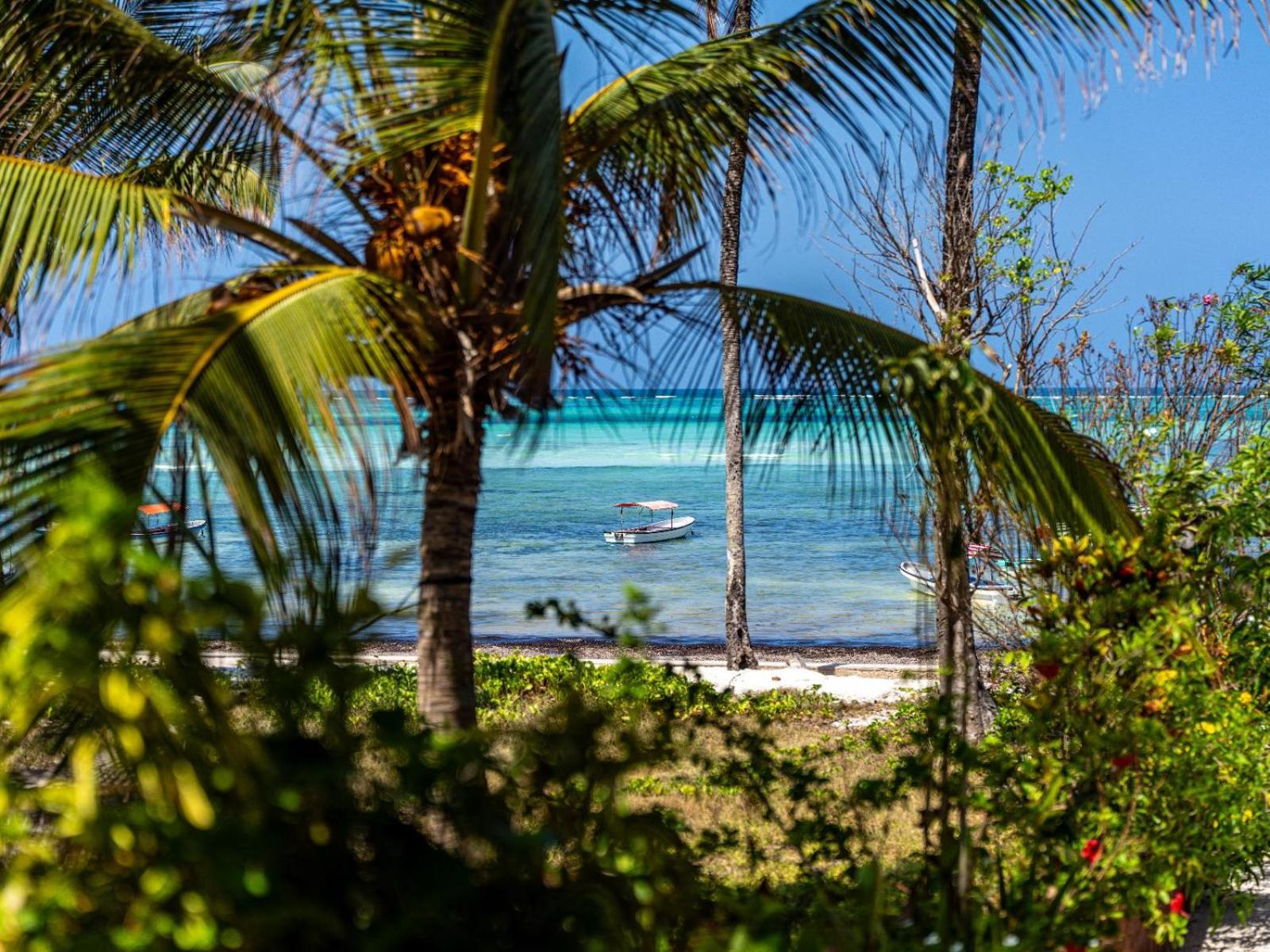 Shanuo Beach Bungalows Michamvi Dış mekan fotoğraf